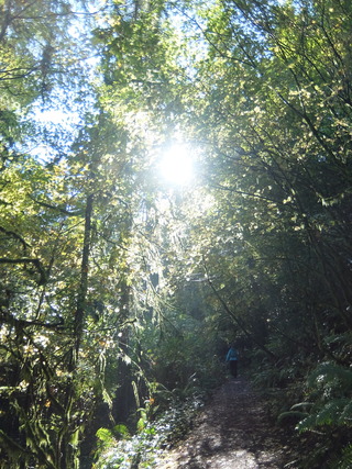 DSCF0925